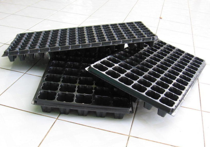 Jika Anda sedang mencari alternatif pengganti tray semai sederhana untuk menanam tanaman, ada beberapa opsi yang bisa dipertimbangkan.