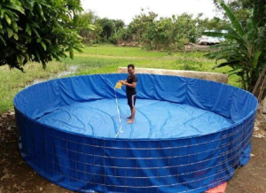 jenis kolam ikan lele