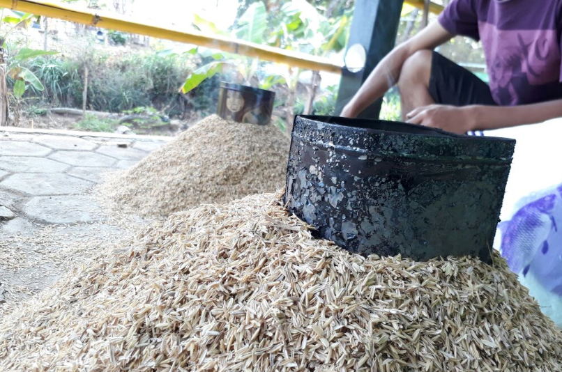 briket dari arang sekam padi
