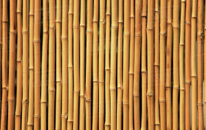 wadah pakan ayam kampung dari bambu