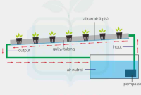 Hidroponik dengan Sistem NFT