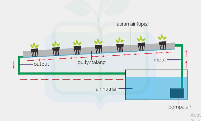 Hidroponik dengan Sistem NFT