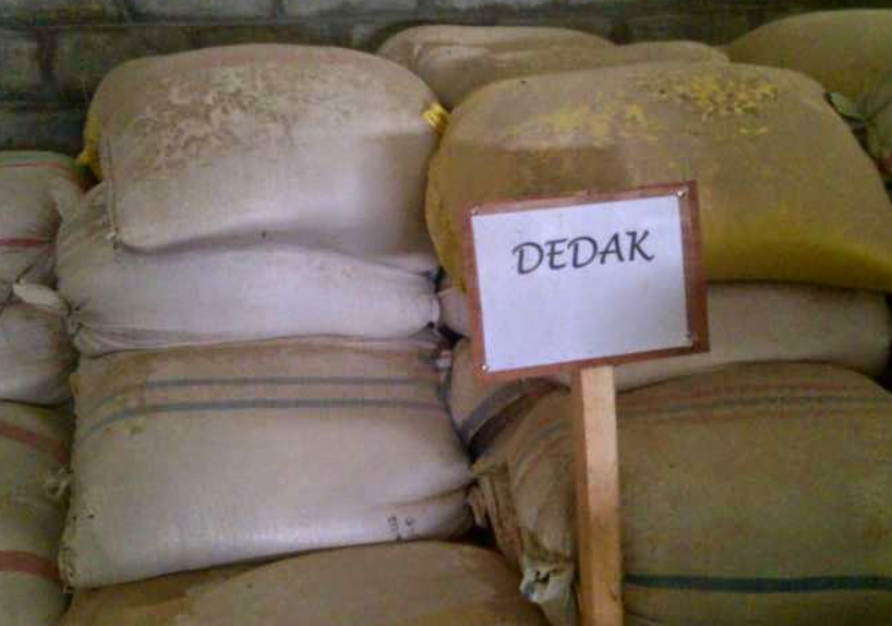 Cara Membuat Pakan Lele dari Dedak