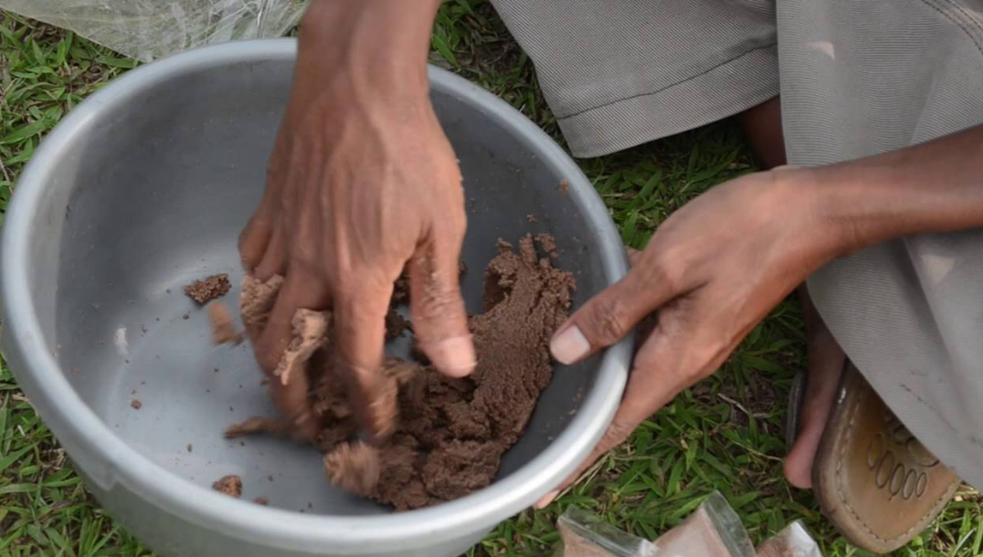 Cara Mudah Membuat Pakan Ikan Nila Alami