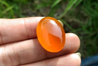 Mustika Sulaiman Madu