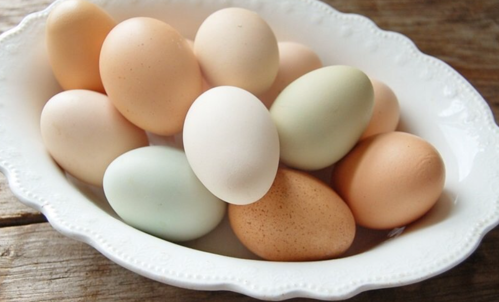 Khasiat Ghaib Mustika Telur Ayam Jantan