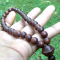 Khasiat dan Manfaat Kayu Kalimosodo