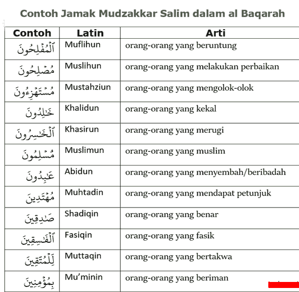 Contoh Isim Jamak Mudzakkar Salim