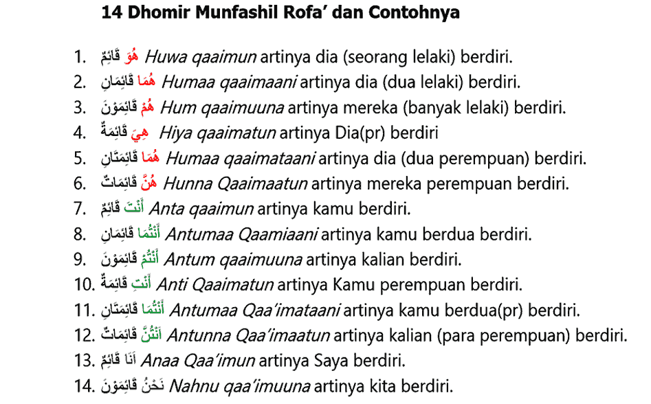 Dhomir Munfashil