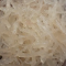 Manfaat Rumput Laut Putih