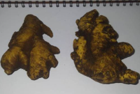 Manfaat Batu Jahe