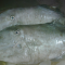 Manfaat Ikan Sukang