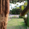 Manfaat Buah Loofah