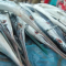 Manfaat Ikan Cucut