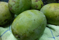 Manfaat Buah Kuini