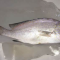 Manfaat Ikan Kaneke