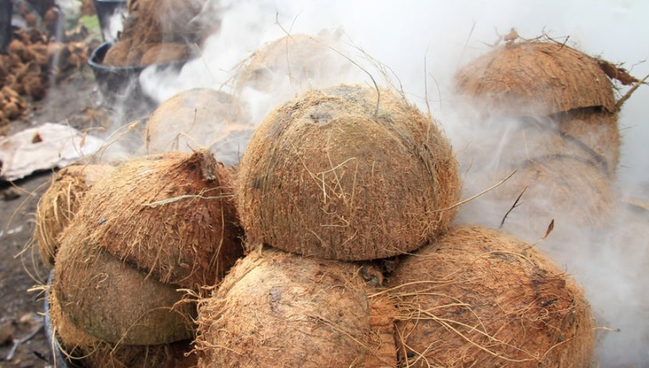 Manfaat Tempurung Kelapa