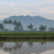 Mustika Gunung Tidar