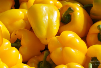 Manfaat Paprika Kuning