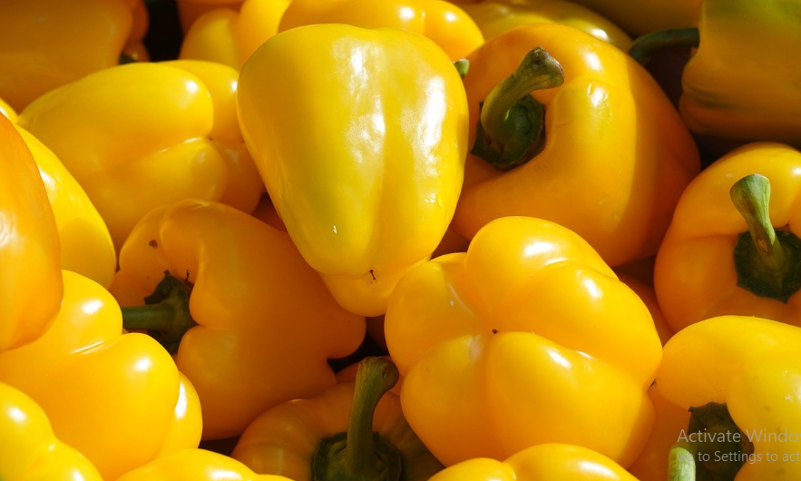 Manfaat Paprika Kuning