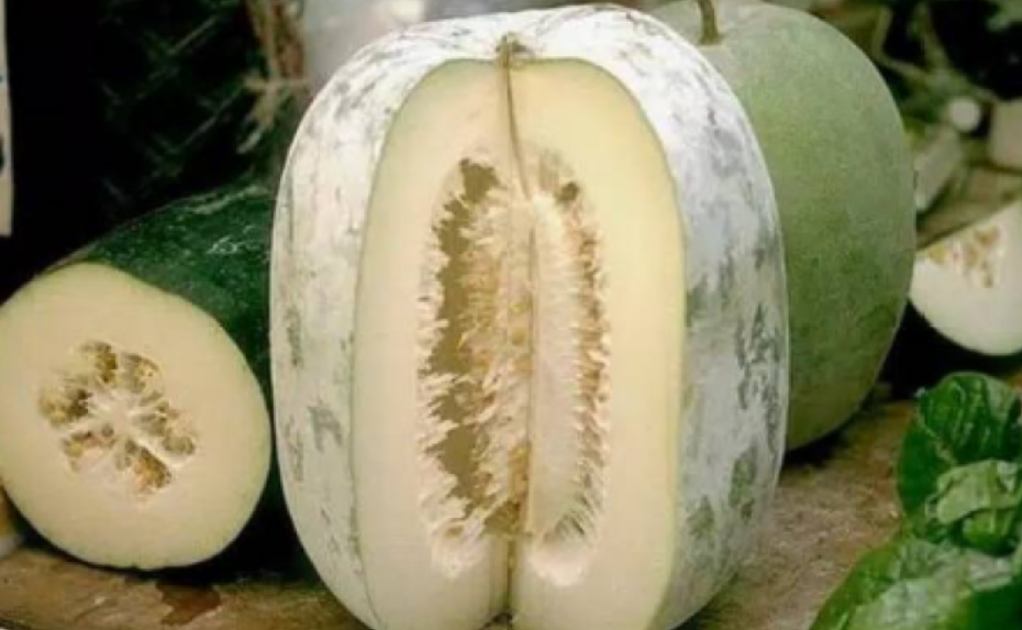 Manfaat Buah Bligo