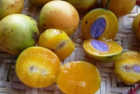 Manfaat Buah Jatake