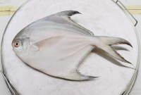 Manfaat Ikan Dorang
