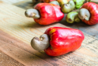 Manfaat Jambu Monyet Untuk Lambung