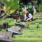 Merawat Kuburan yang Dibolehkan dan Yang Diharamkan