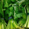 Manfaat Kangkung untuk Kesehatan