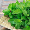 Cara Mengolah Daun Mint