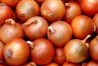 Manfaat Bawang Bombay untuk Kesehatan