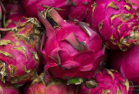 Cara Memilih Buah Naga yang Manis