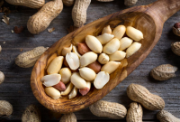 Cara Menanam Kacang Tanah