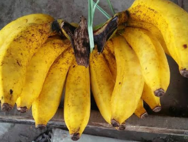 Manfaat Pisang Susu