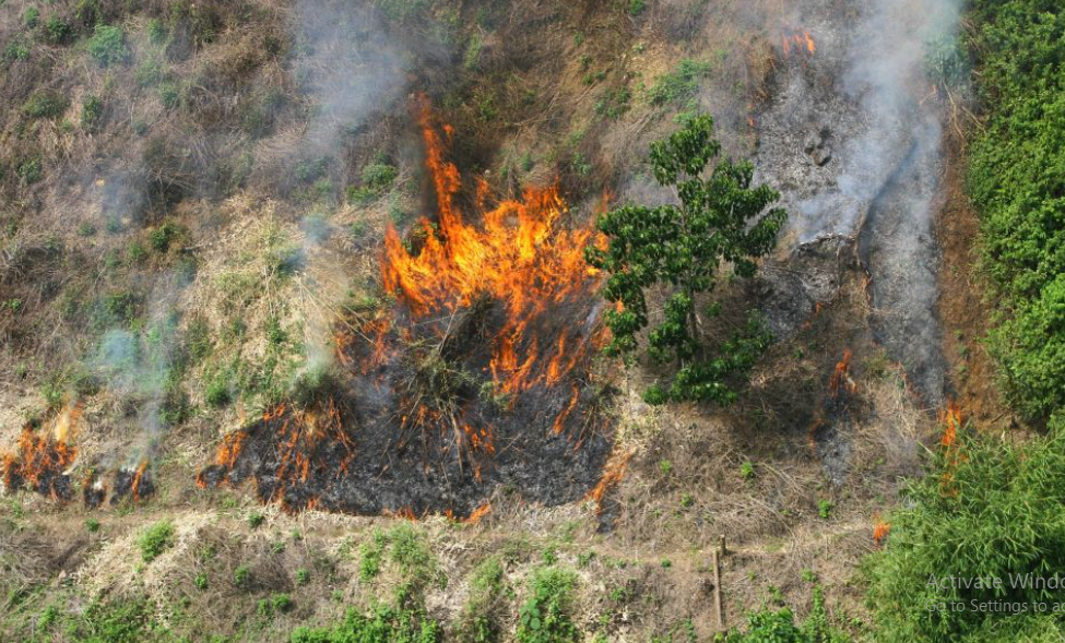 Penyebab Kebakaran Hutan