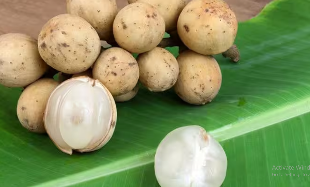 Manfaat Buah Kokosan
