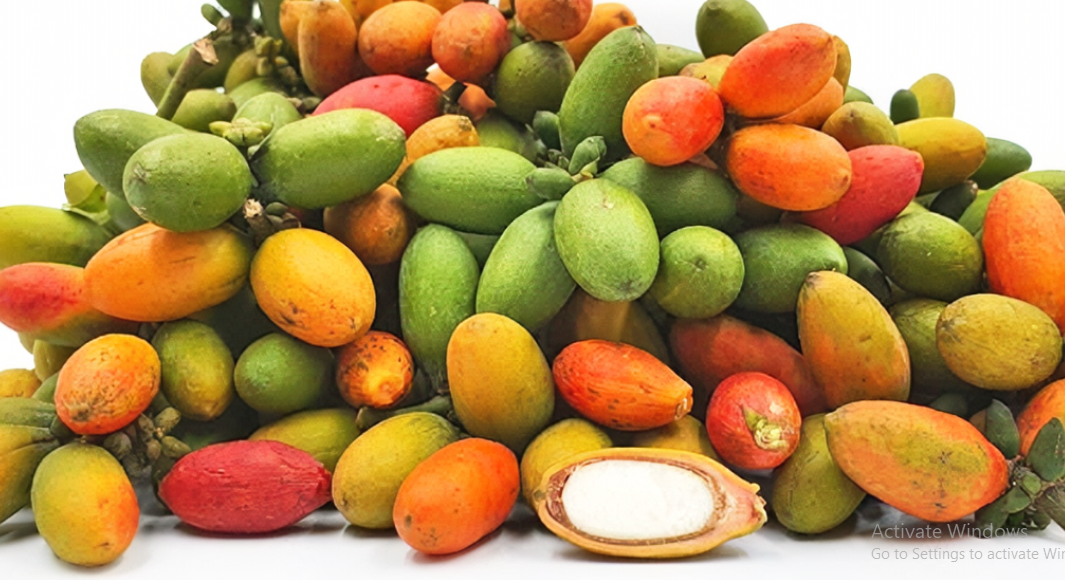 Manfaat Kulit Melinjo